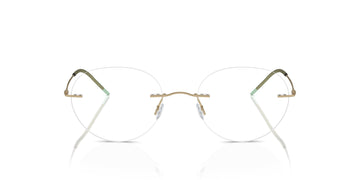 GIORGIO ARMANI AR5147 3002