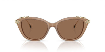SWAROVSKI SK6010 2002OK