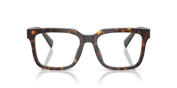 DOLCE & GABBANA DG3422 502
