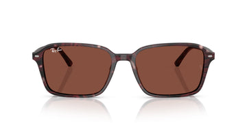 RAY-BAN RAIMOND RB2231 1416C5