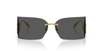 DOLCE & GABBANA DG2319 02/87