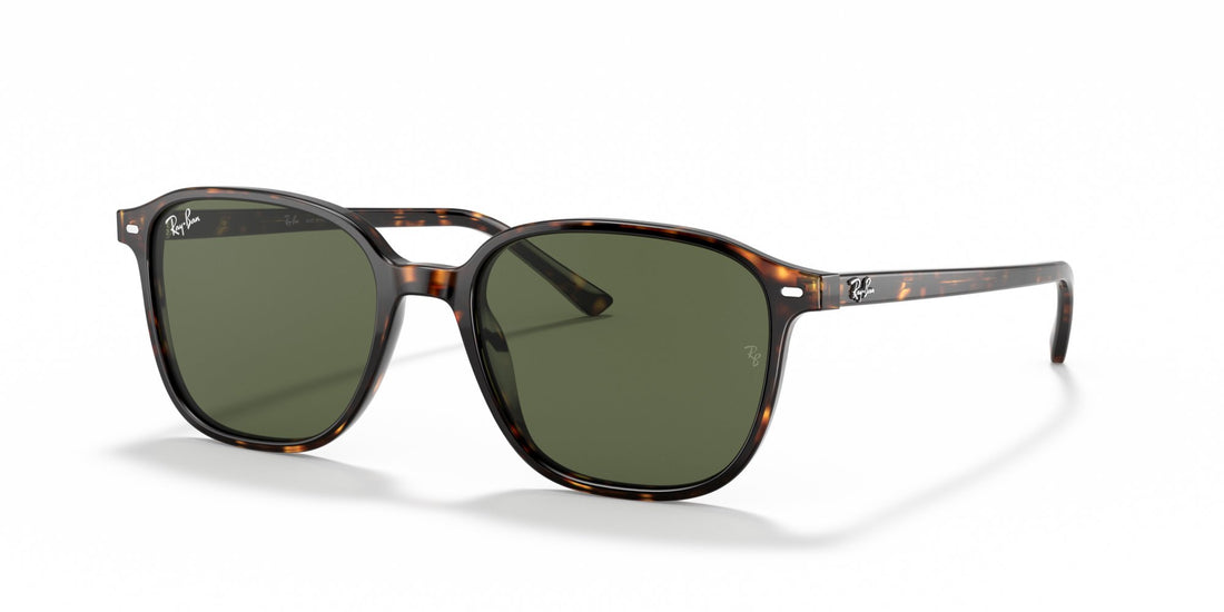 RAY-BAN LEONARD RB2193 902/31
