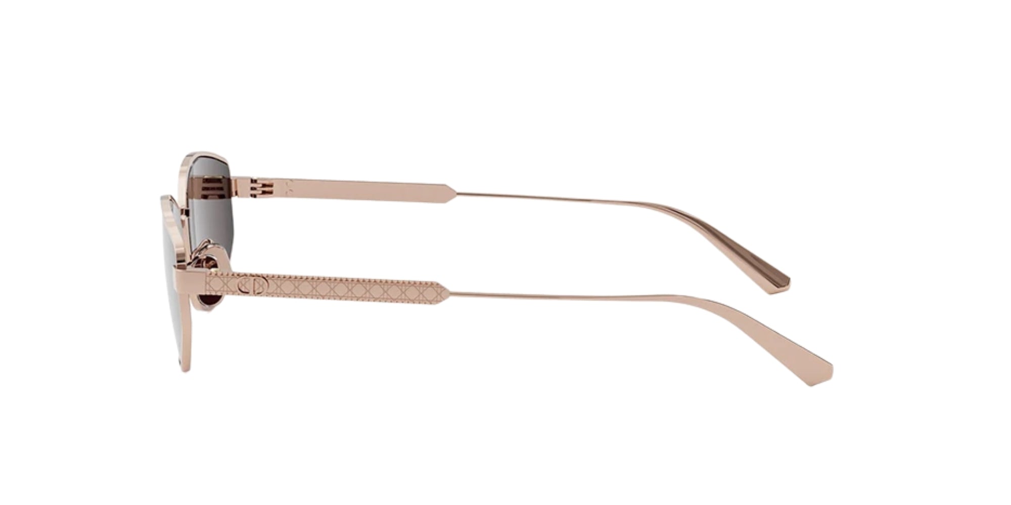 Dior DIORCANNAGE B1U D0D0