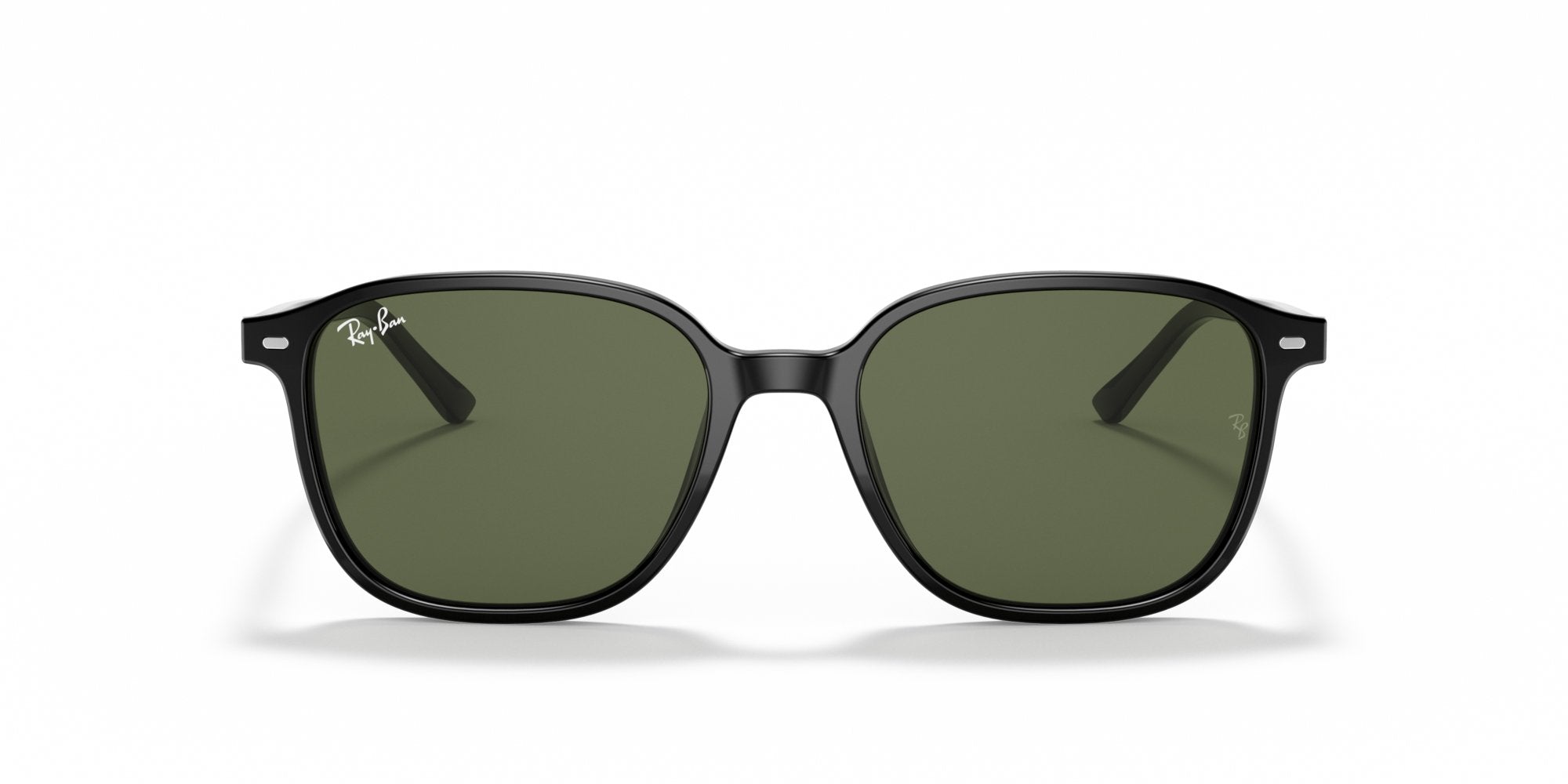 RAY-BAN LEONARD RB2193 901/31
