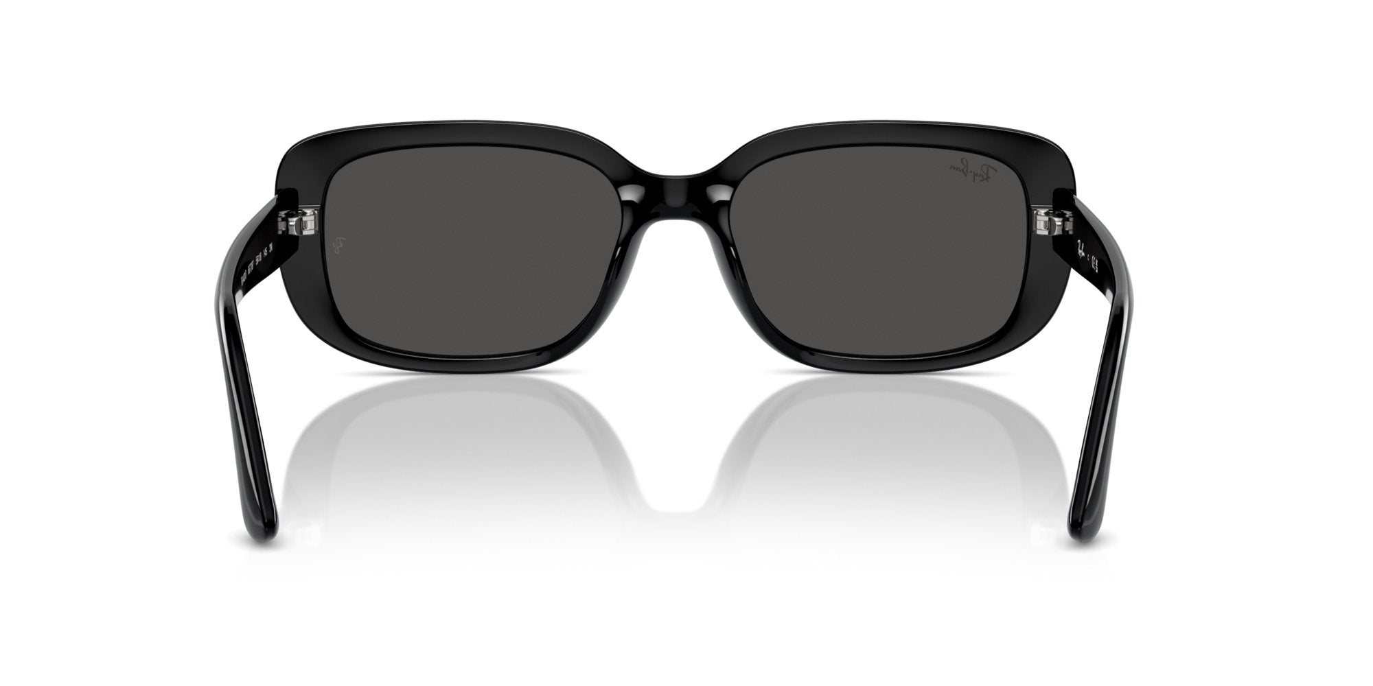 RAY-BAN RB4421D 667787
