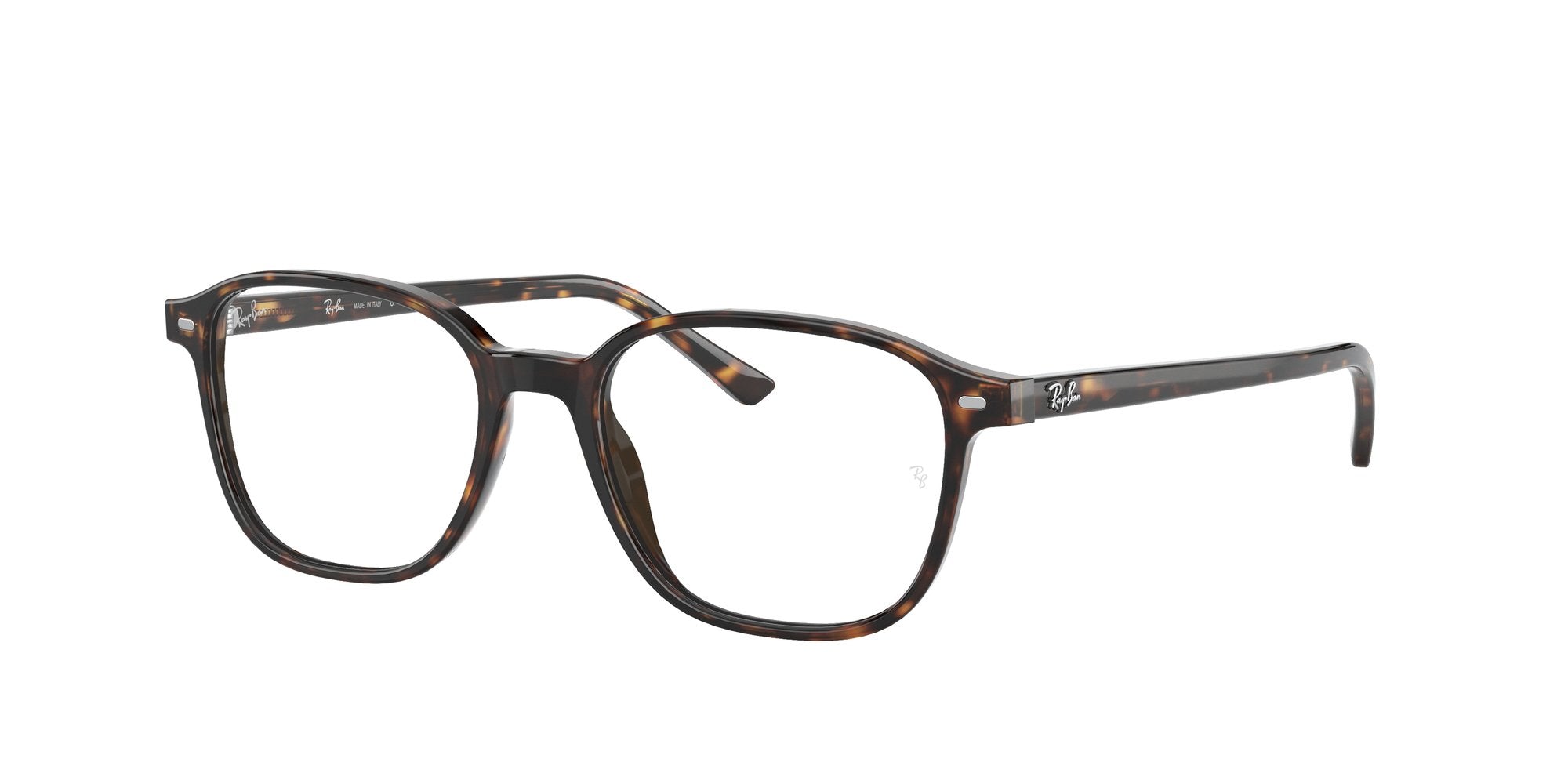 RAY-BAN VISTA LEONARD RX5393 2012