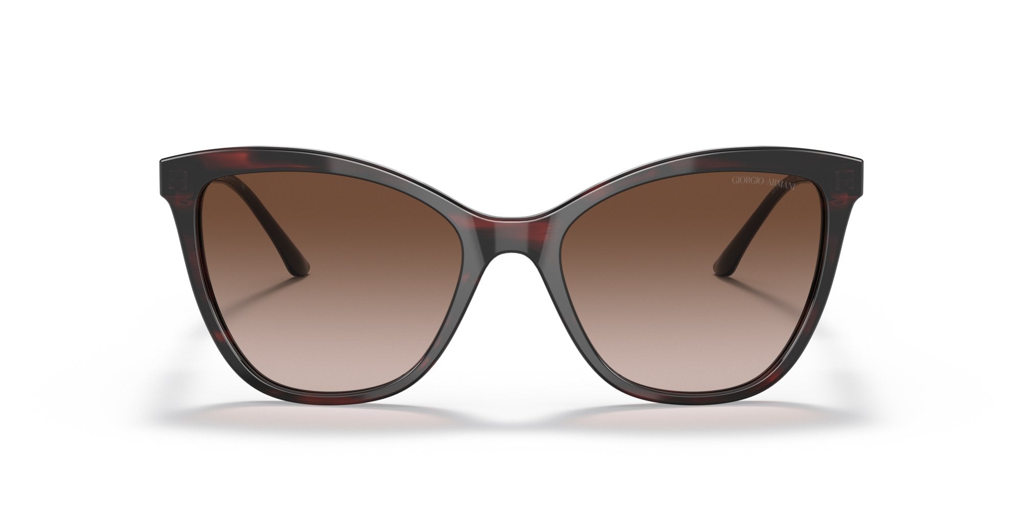 GIORGIO ARMANI AR8157 591713