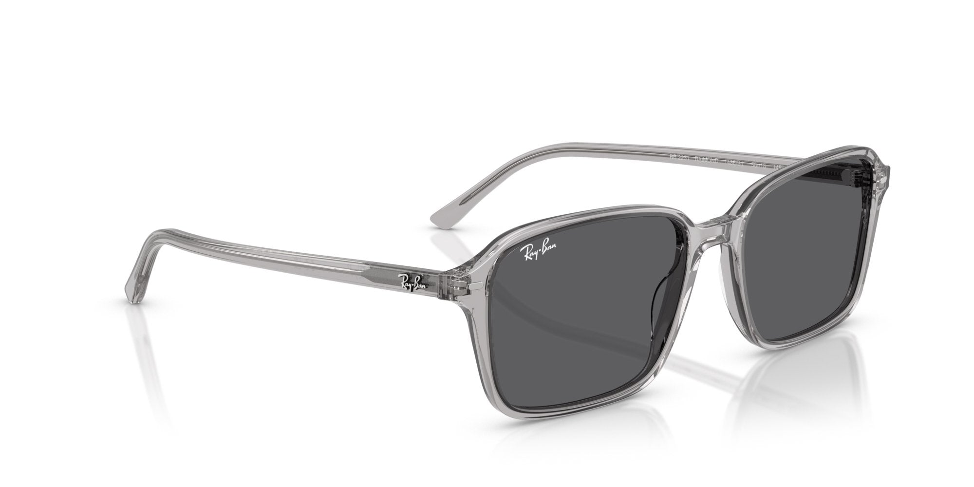 RAY-BAN RAIMOND RB2231 1436B1