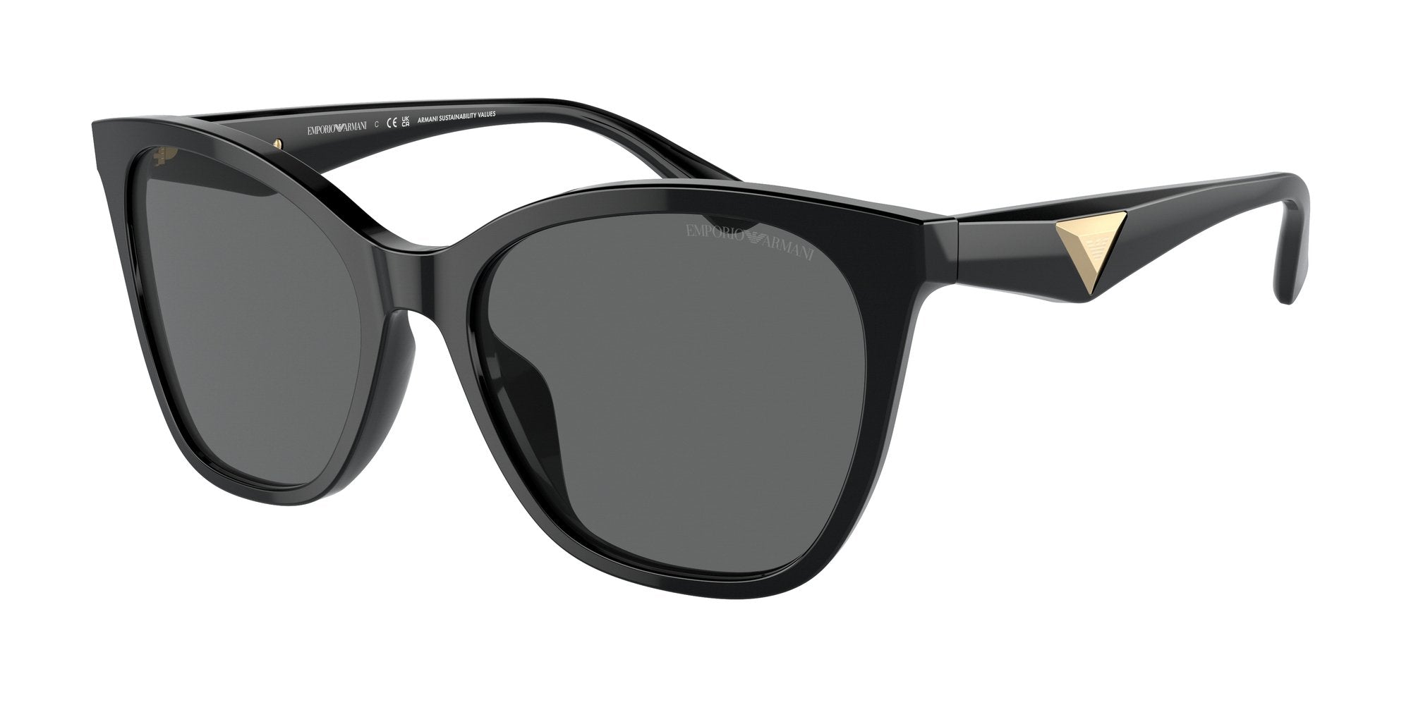 EMPORIO ARMANI EA4222U 501787