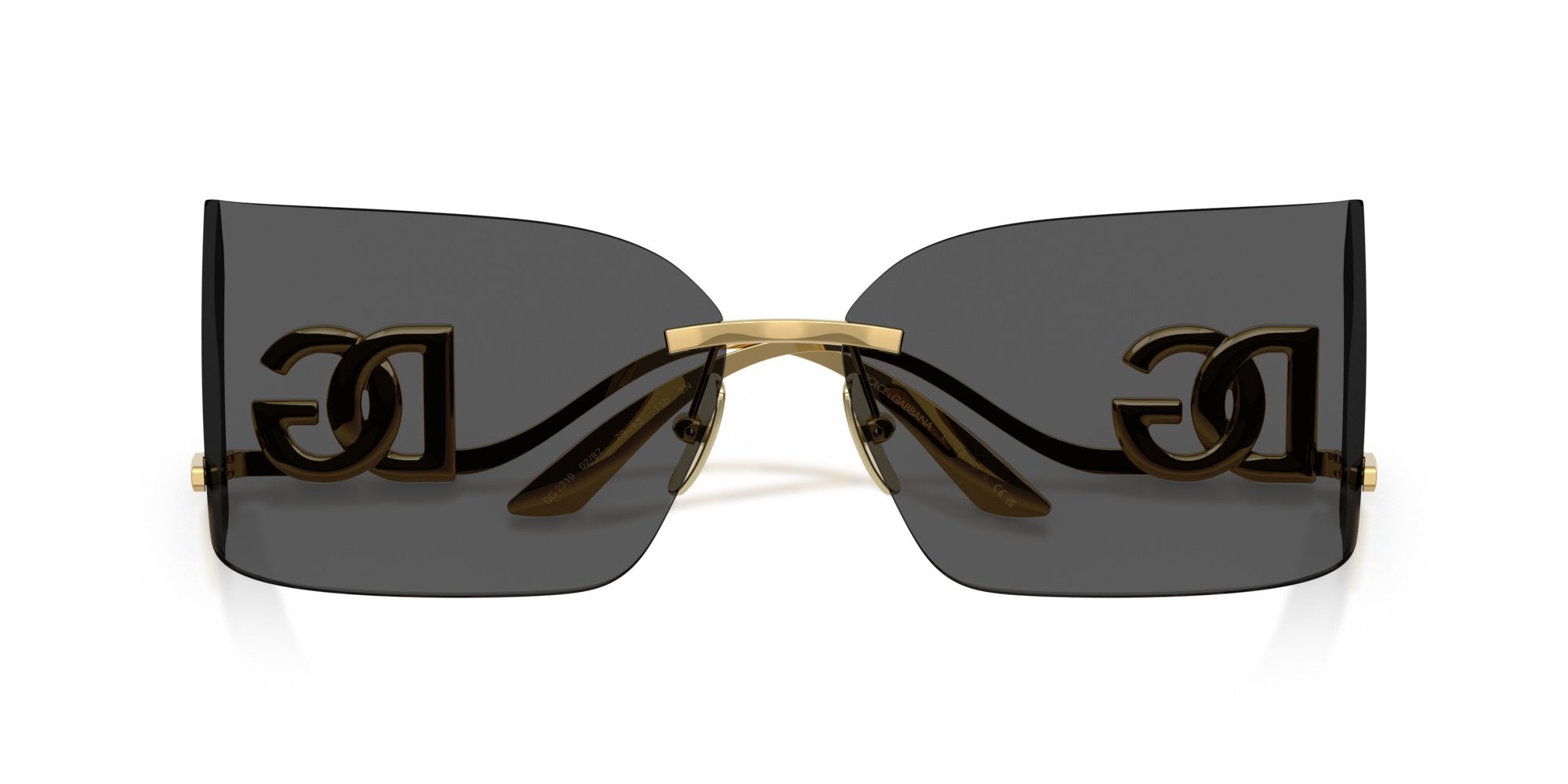 DOLCE & GABBANA DG2319 02/87