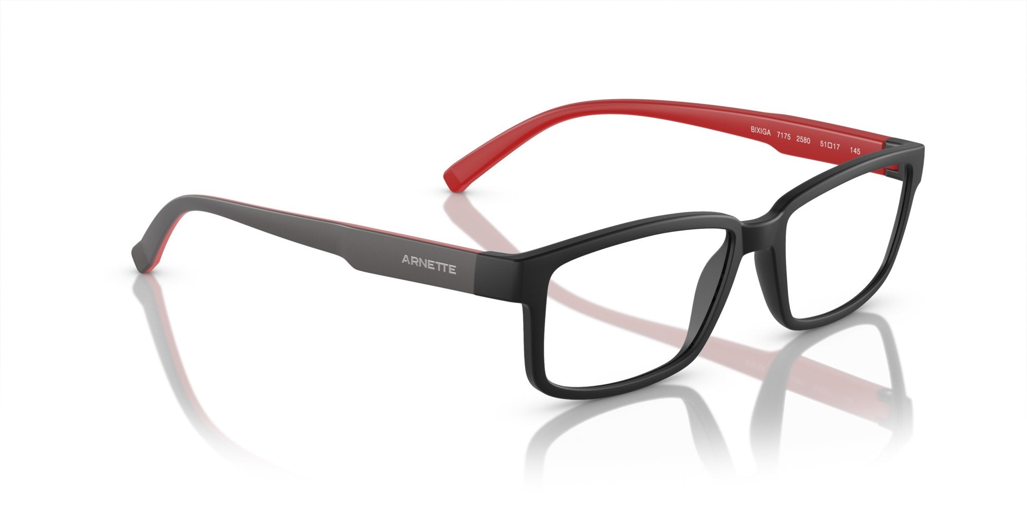 ARNETTE BIXIGA AN7175 2580