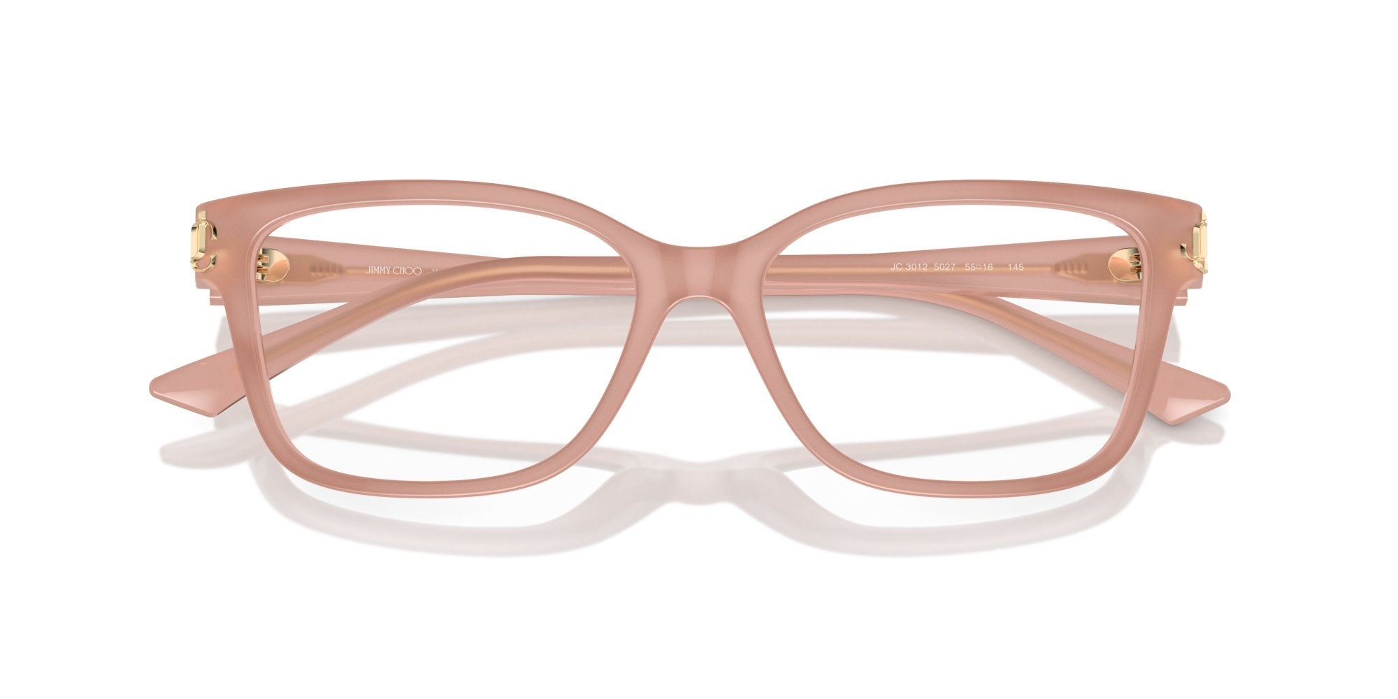 Jimmy Choo JC3012 5027