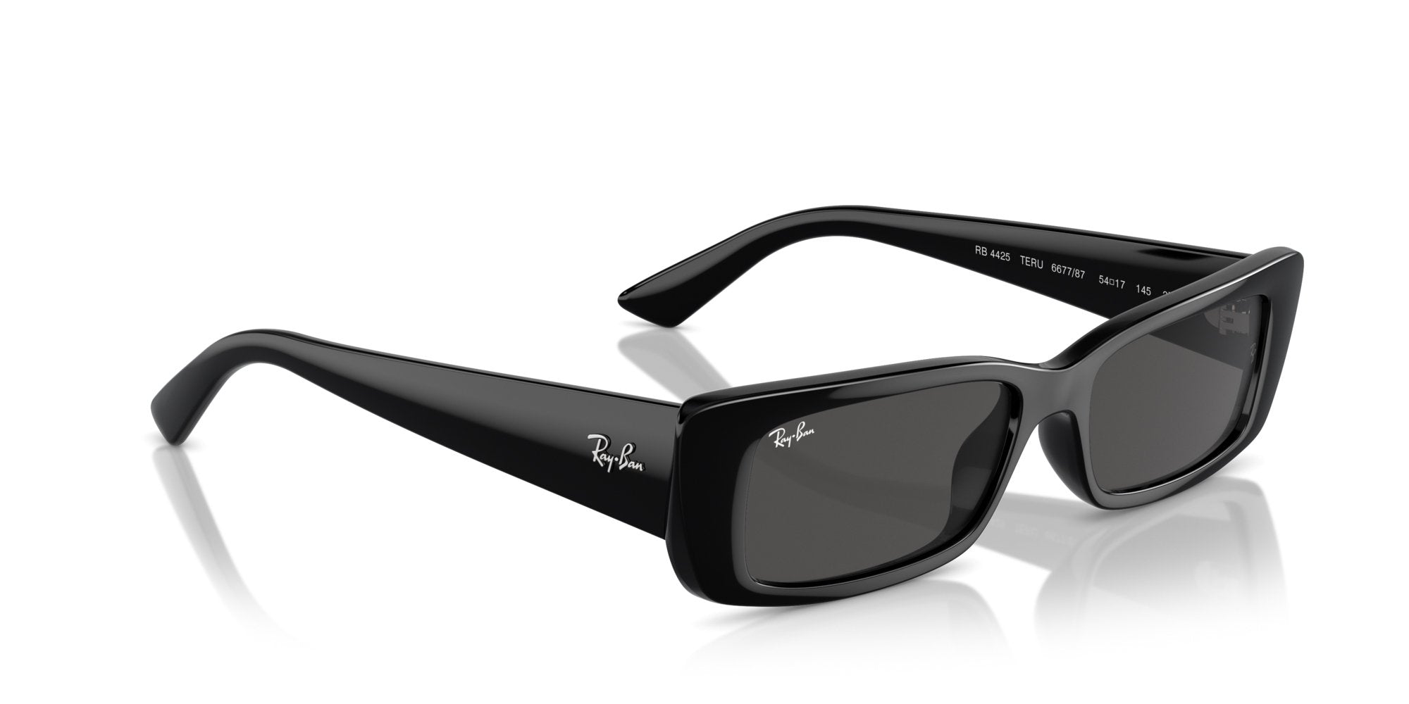 RAY-BAN TERU RB4425 667787