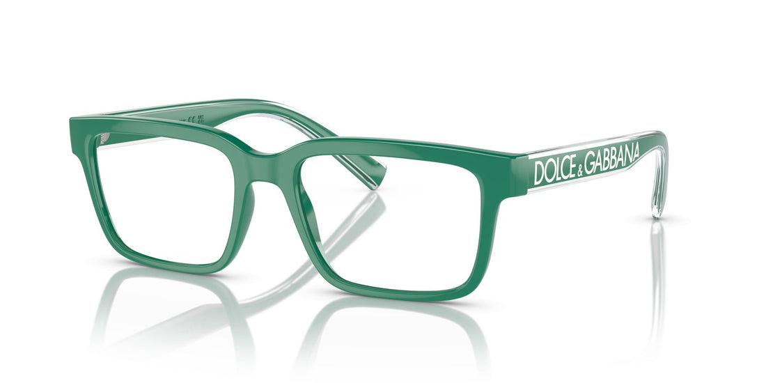 DOLCE & GABBANA 5102 3311
