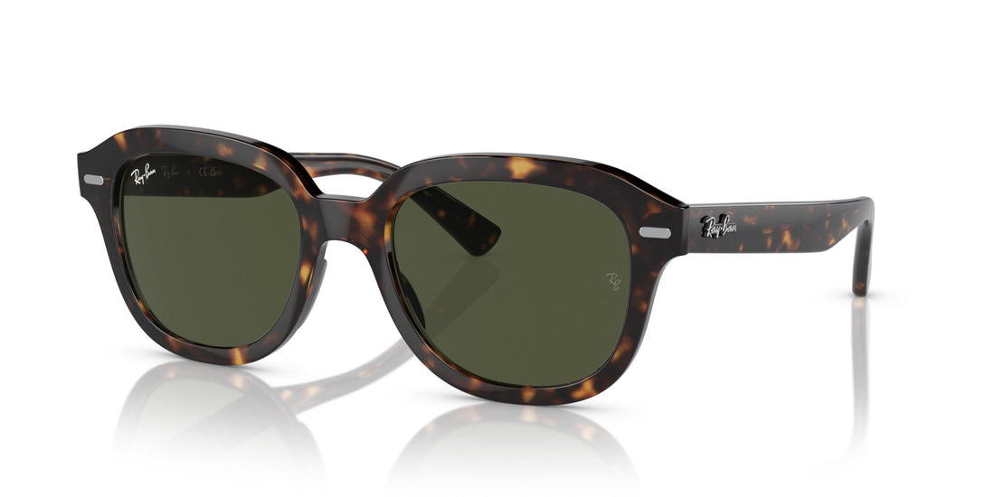 RAY-BAN ERIK RB4398 902/31