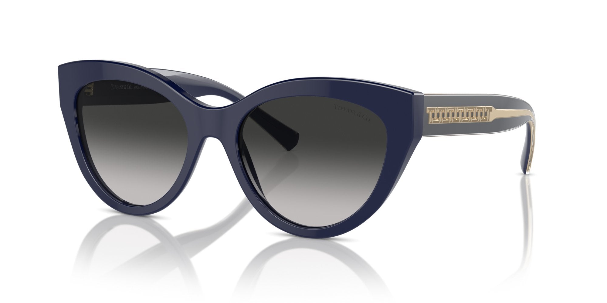 TIFFANY TF4220 83963C