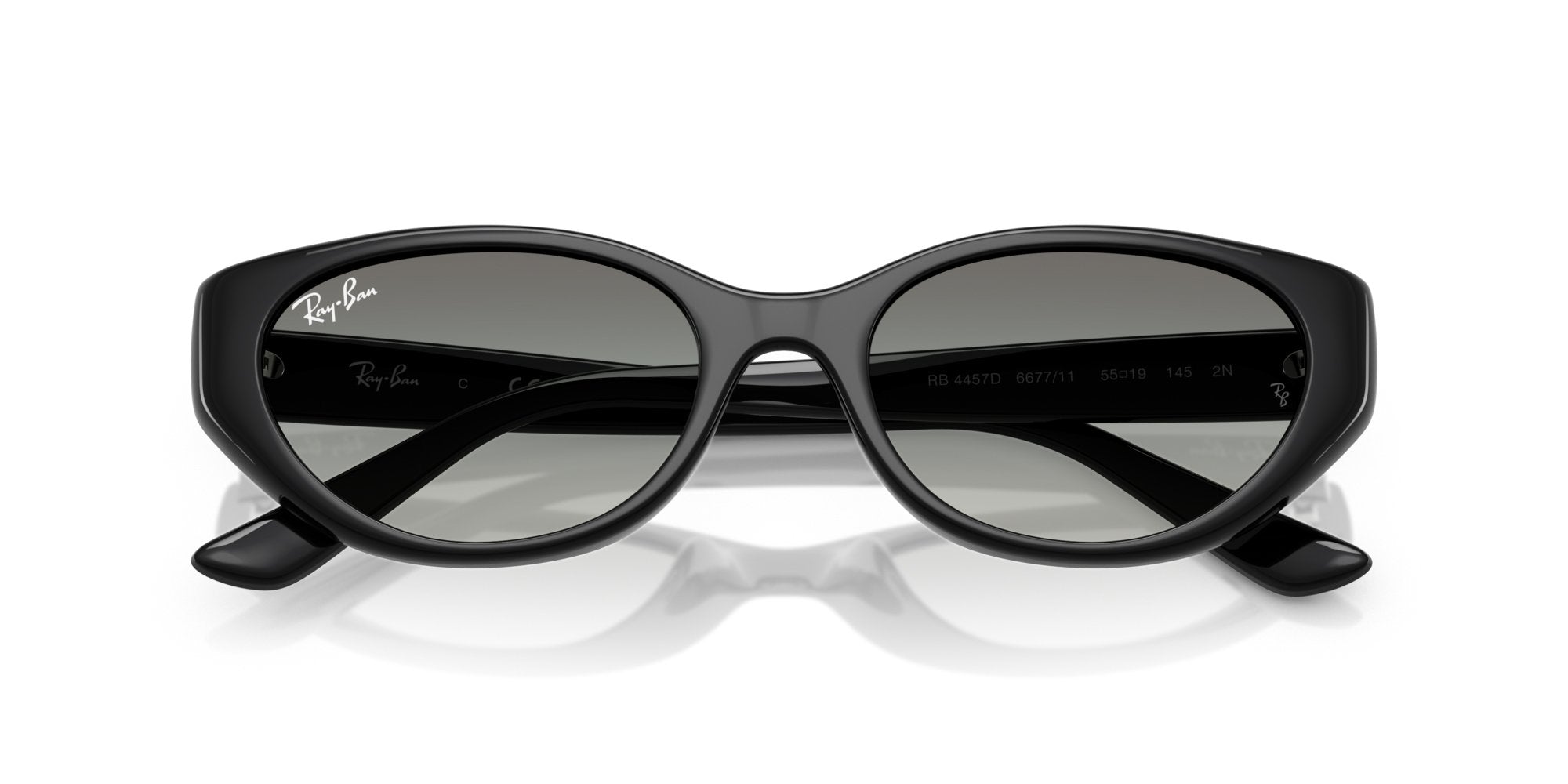 RAY-BAN RB4457D 667711
