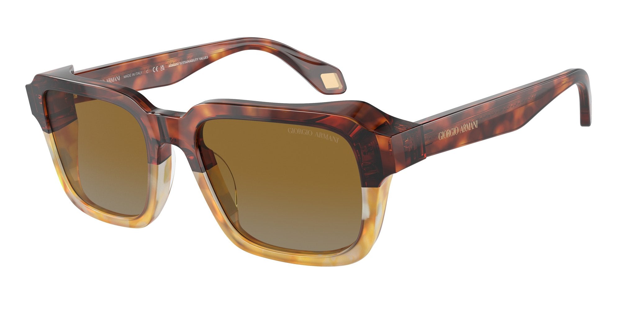 GIORGIO ARMANI AR8194U 6034B2