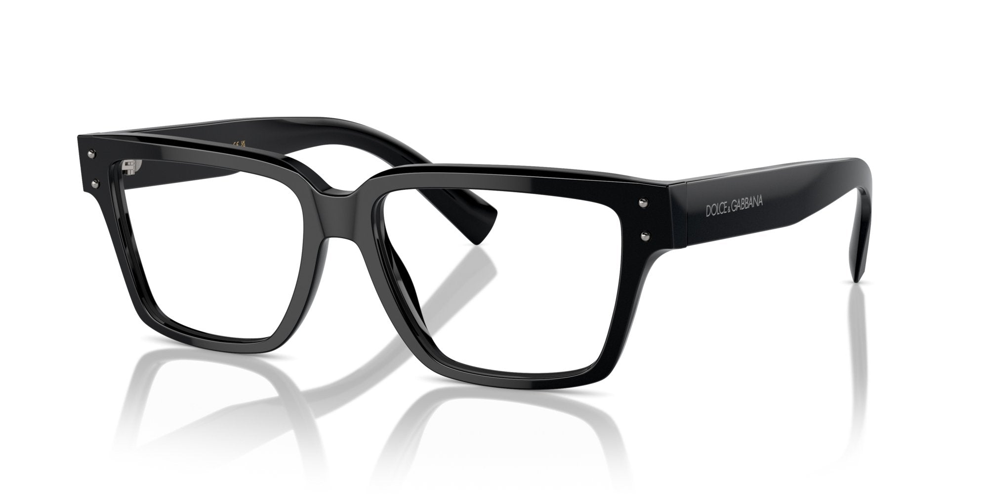 DOLCE & GABBANA DG3383 501