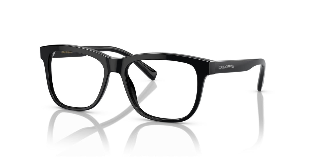 Dolce & Gabbana Kids DX3356 501