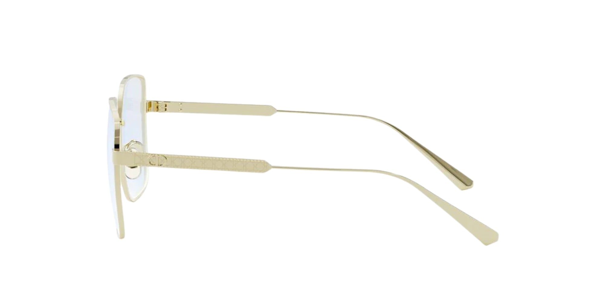 Dior DIORCANNAGEO S1F B0BB