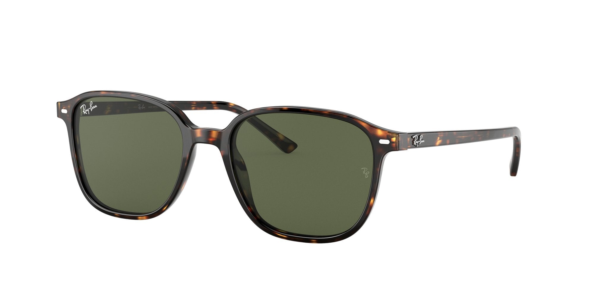 RAY-BAN LEONARD RB2193 902/31