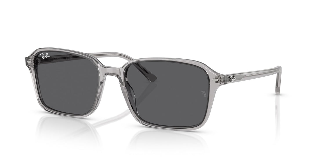 RAY-BAN RAIMOND RB2231 1436B1