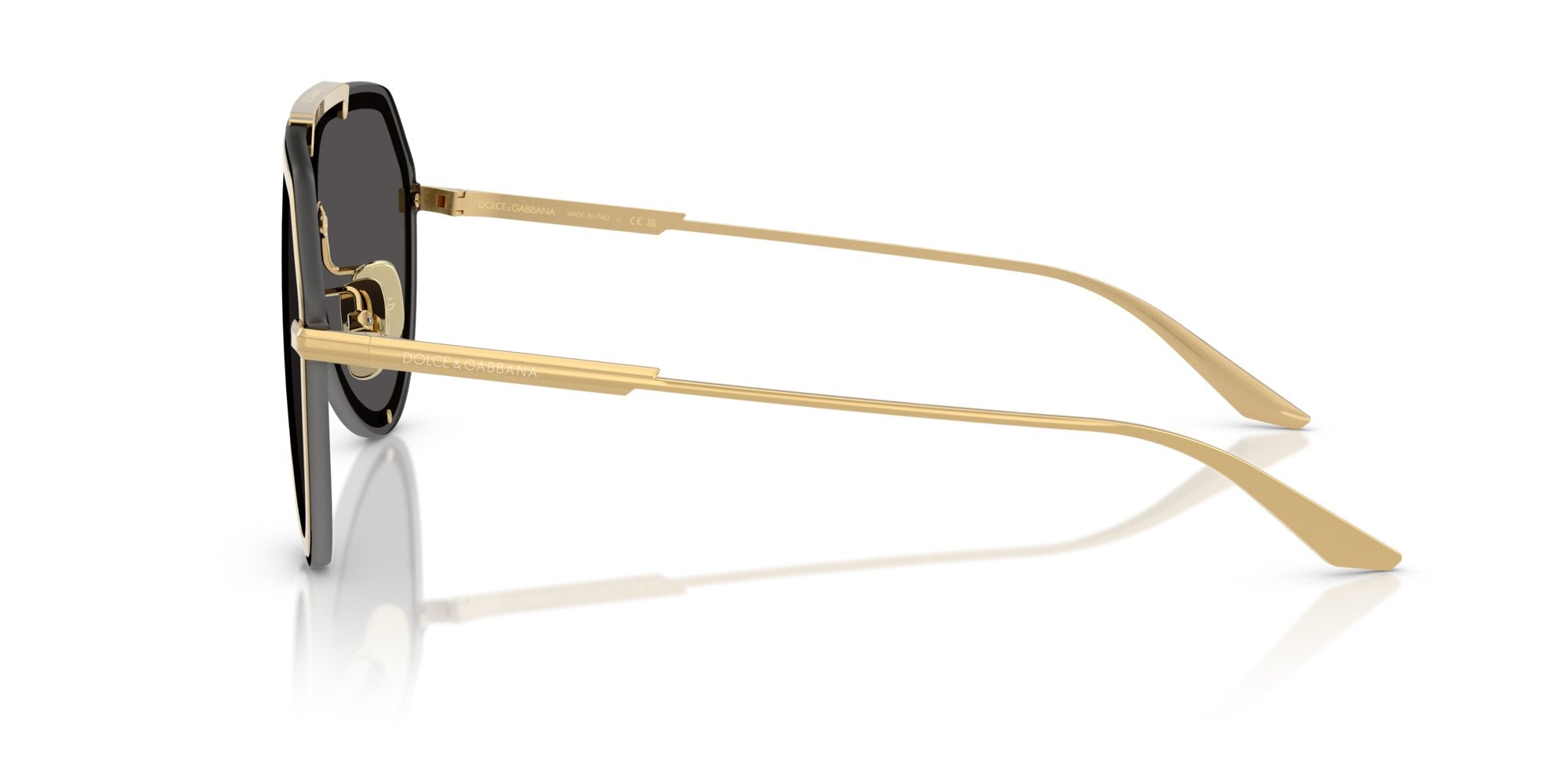 DOLCE & GABBANA DG2309 02/87