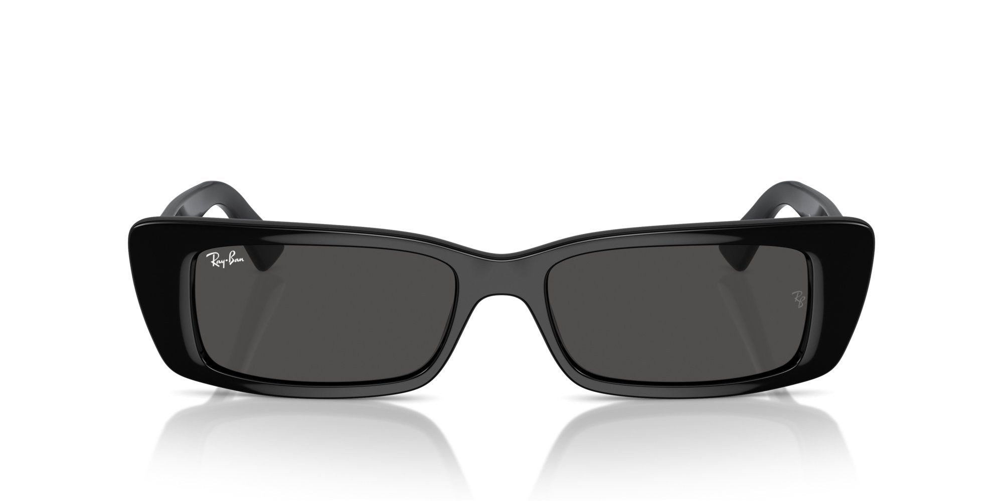 RAY-BAN TERU RB4425 667787