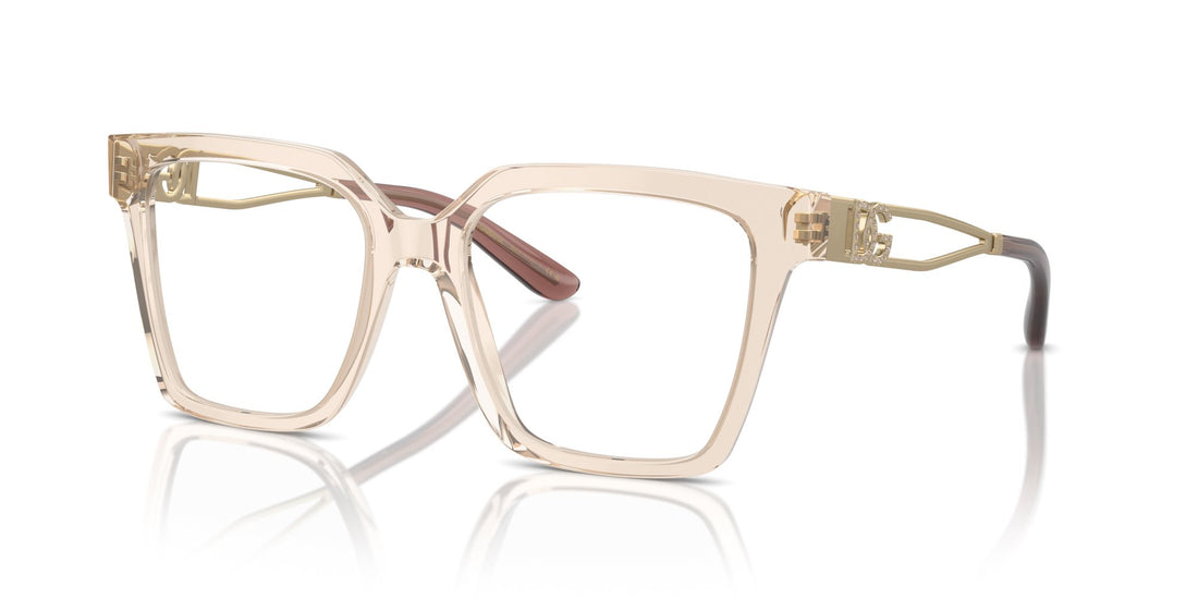 DOLCE & GABBANA DG3376B 3432