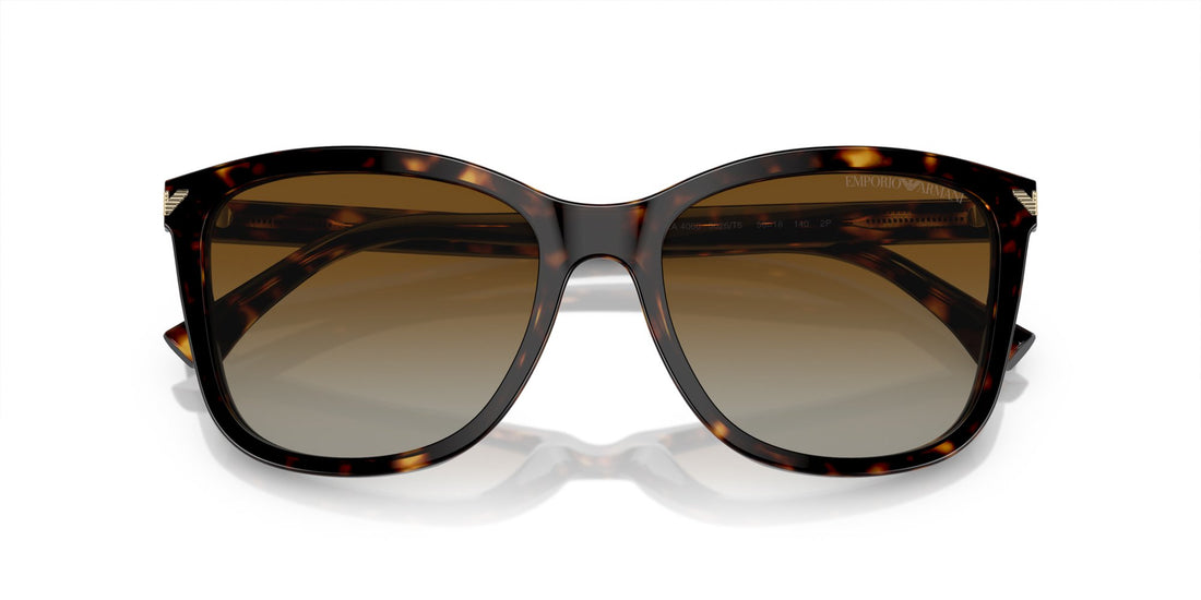 EMPORIO ARMANI EA4060 5026T5 Polarizzato