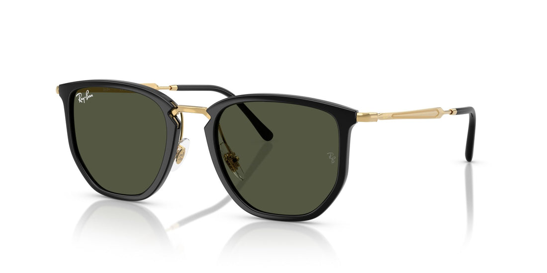 RAY-BAN RB4451 630631