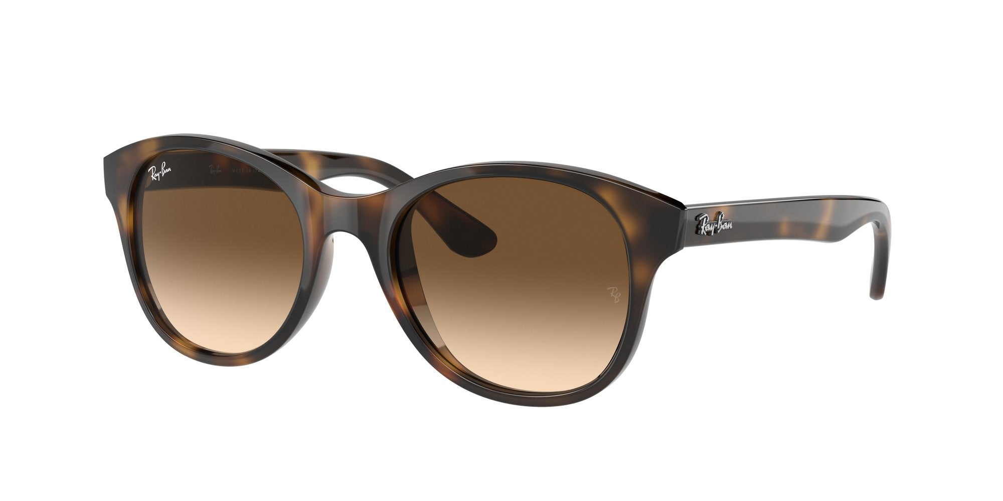RAY-BAN RB4203 710_13