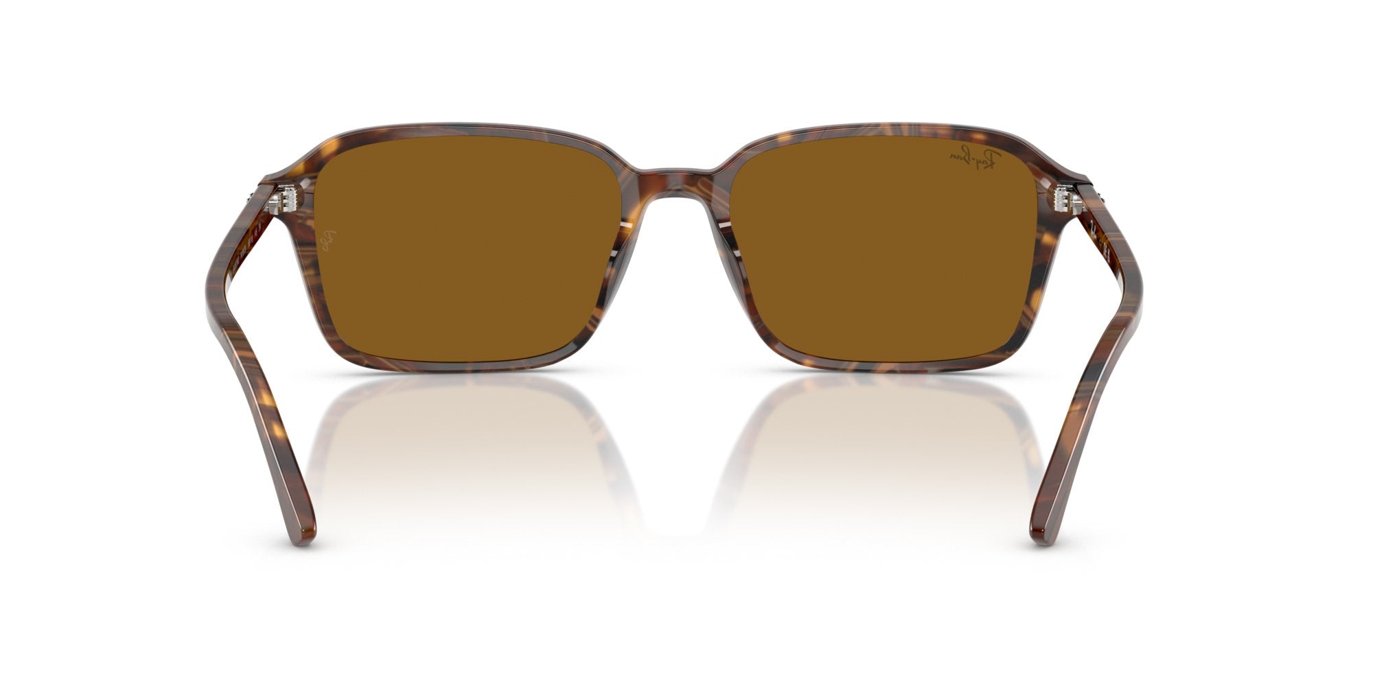 RAY-BAN RAIMOND RB2231 141833