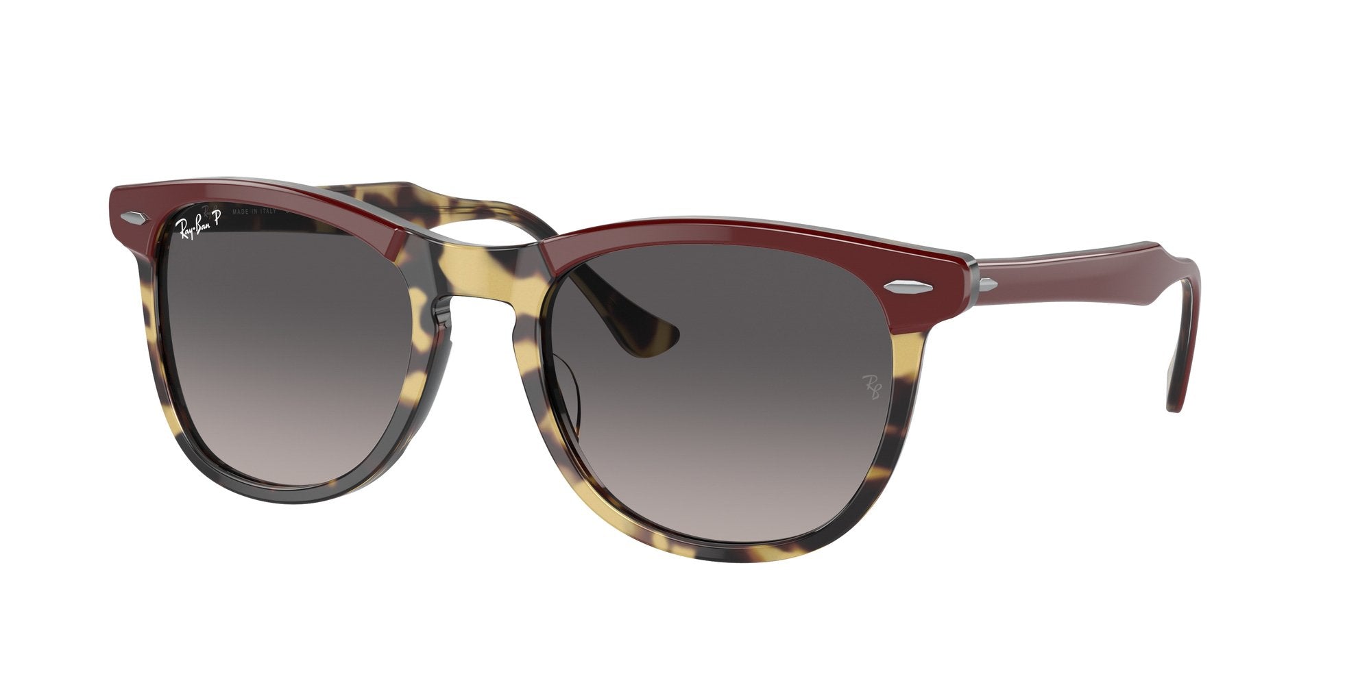 RAY-BAN EAGLEEYE RB2398 1377M3 Polarizzato