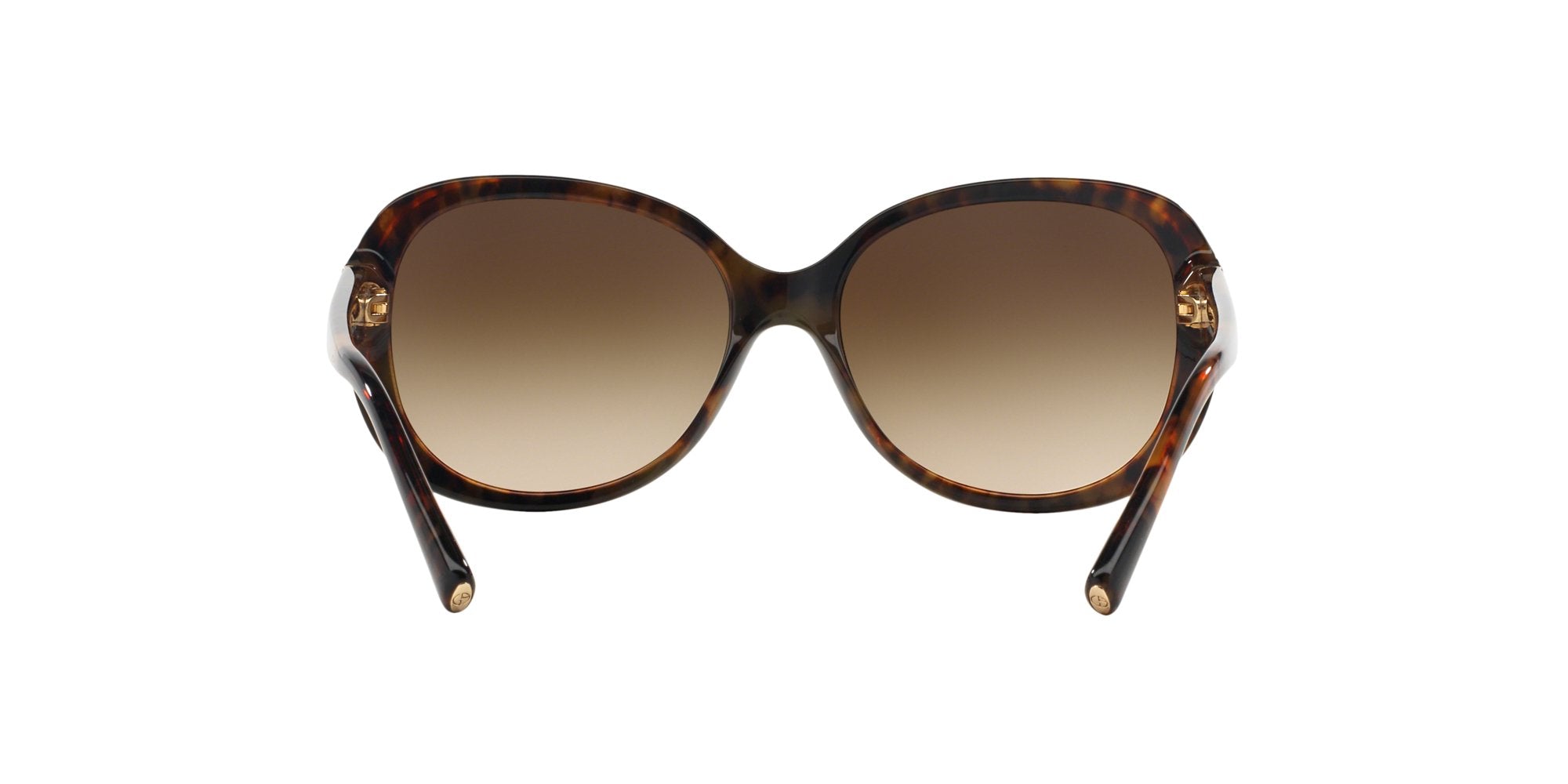 GIORGIO ARMANI AR8047 504913