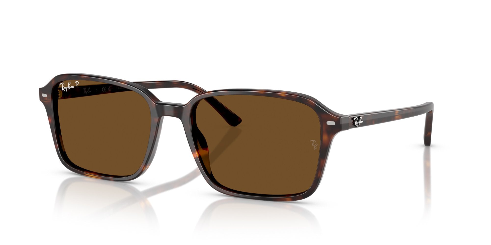 RAY-BAN RAIMOND RB2231 902/57 Polarizzato