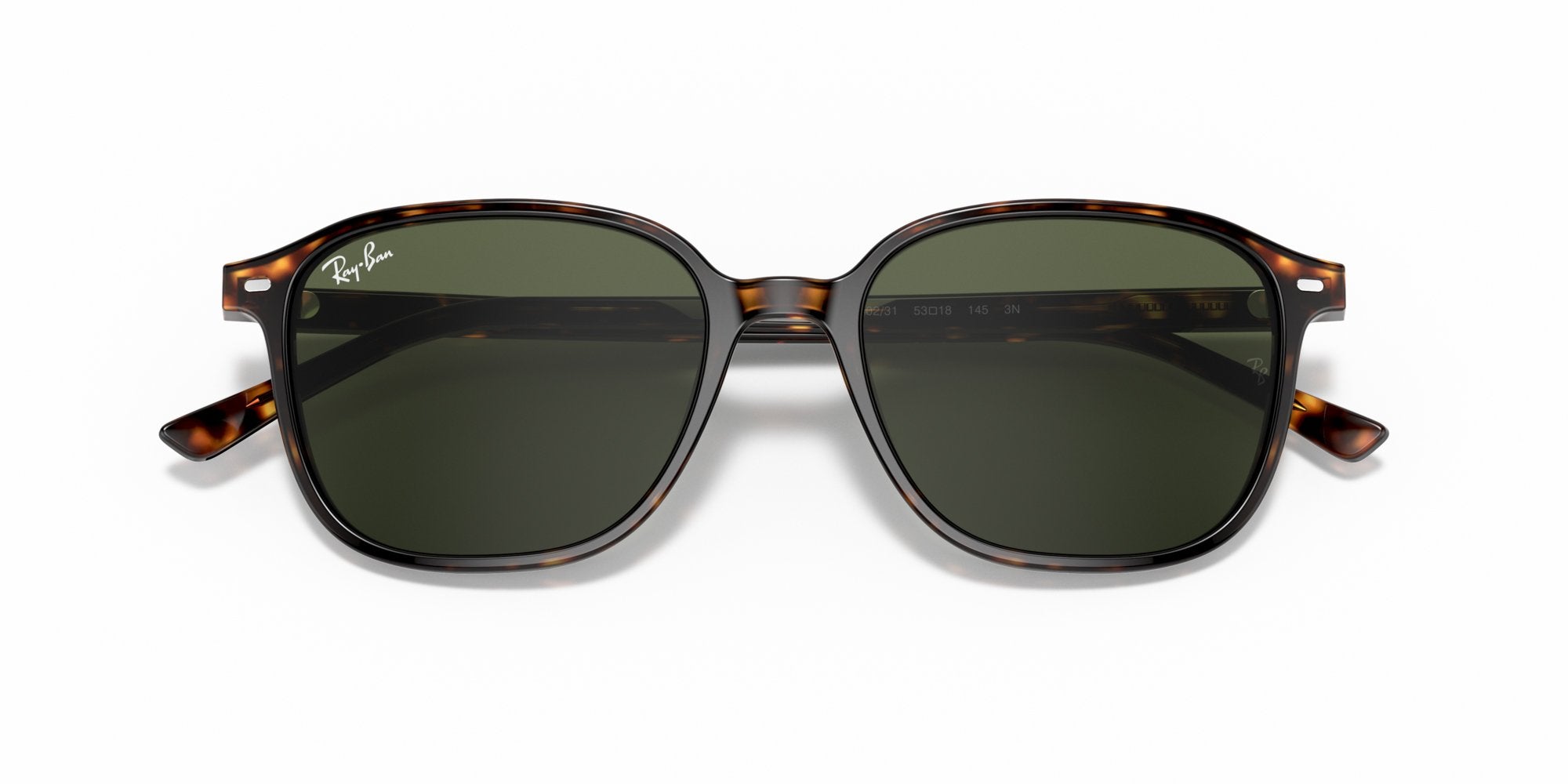 RAY-BAN LEONARD RB2193 902/31