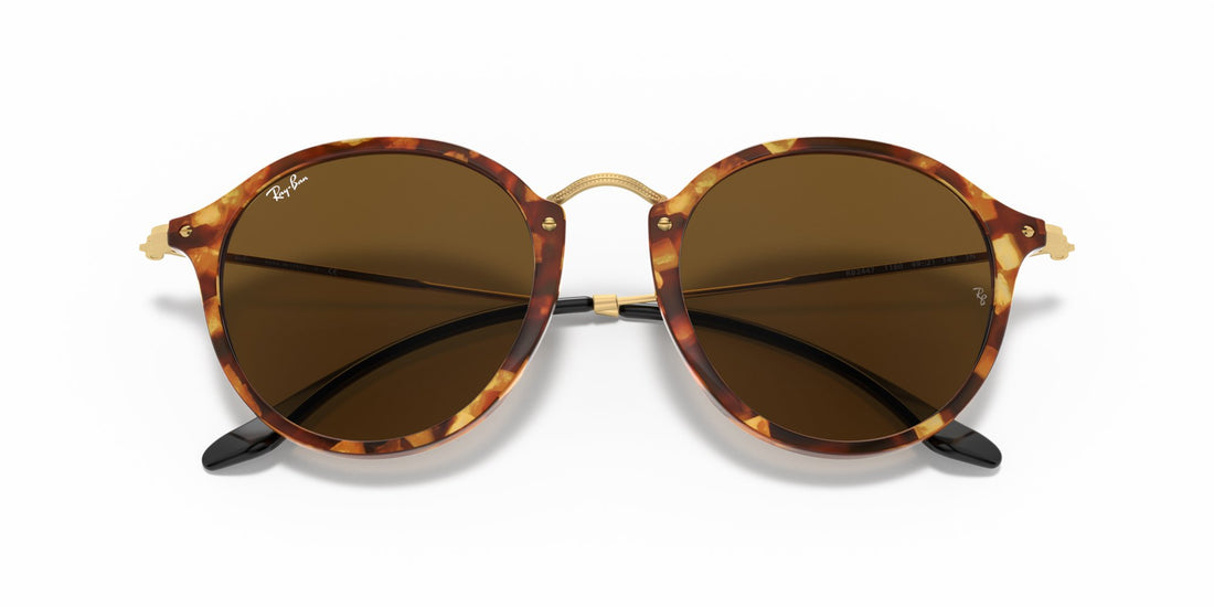 RAY-BAN ROUND RB2447 1160