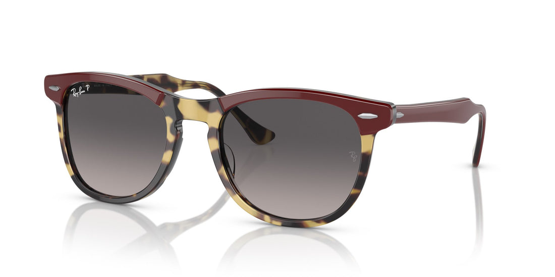RAY-BAN EAGLEEYE RB2398 1377M3 Polarizzato