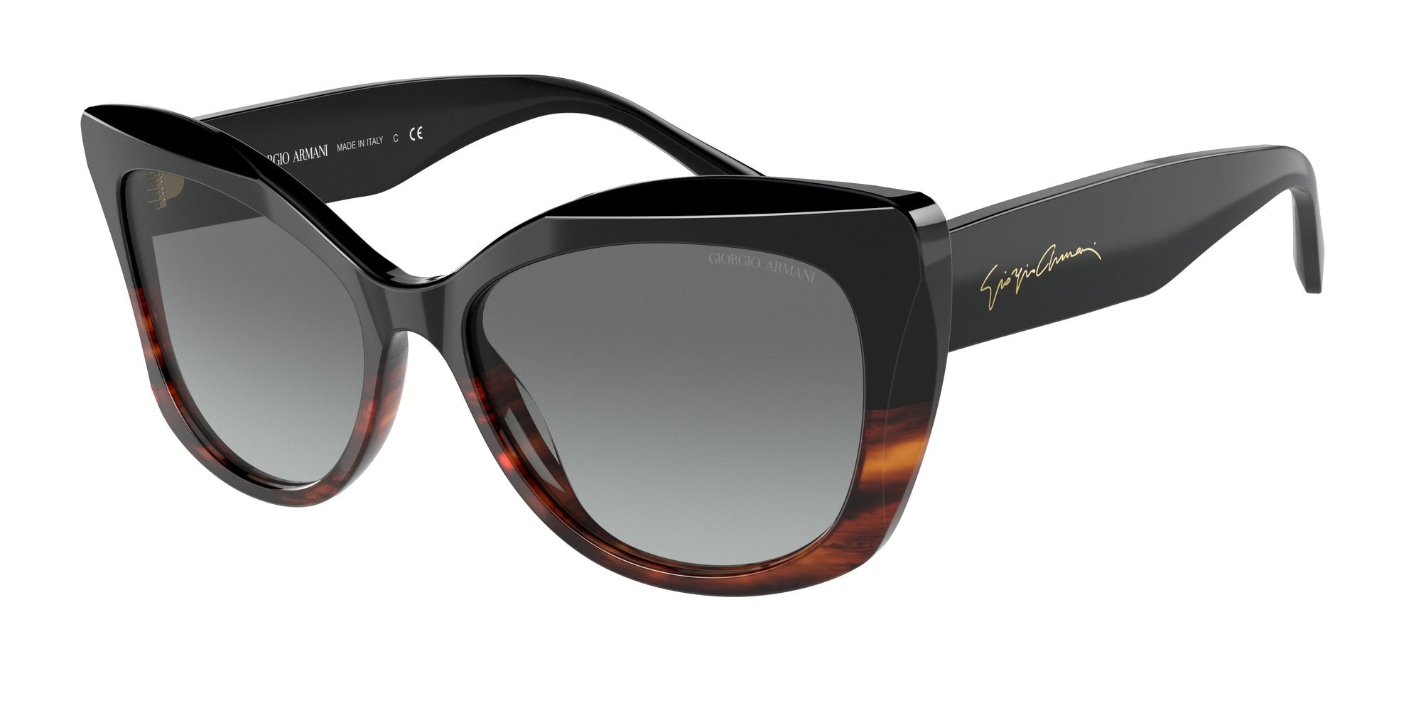 GIORGIO ARMANI AR8161 592811