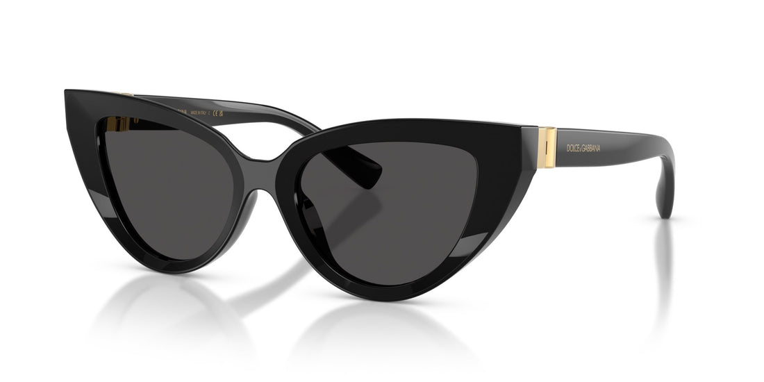 DOLCE & GABBANA DG4497 501/87
