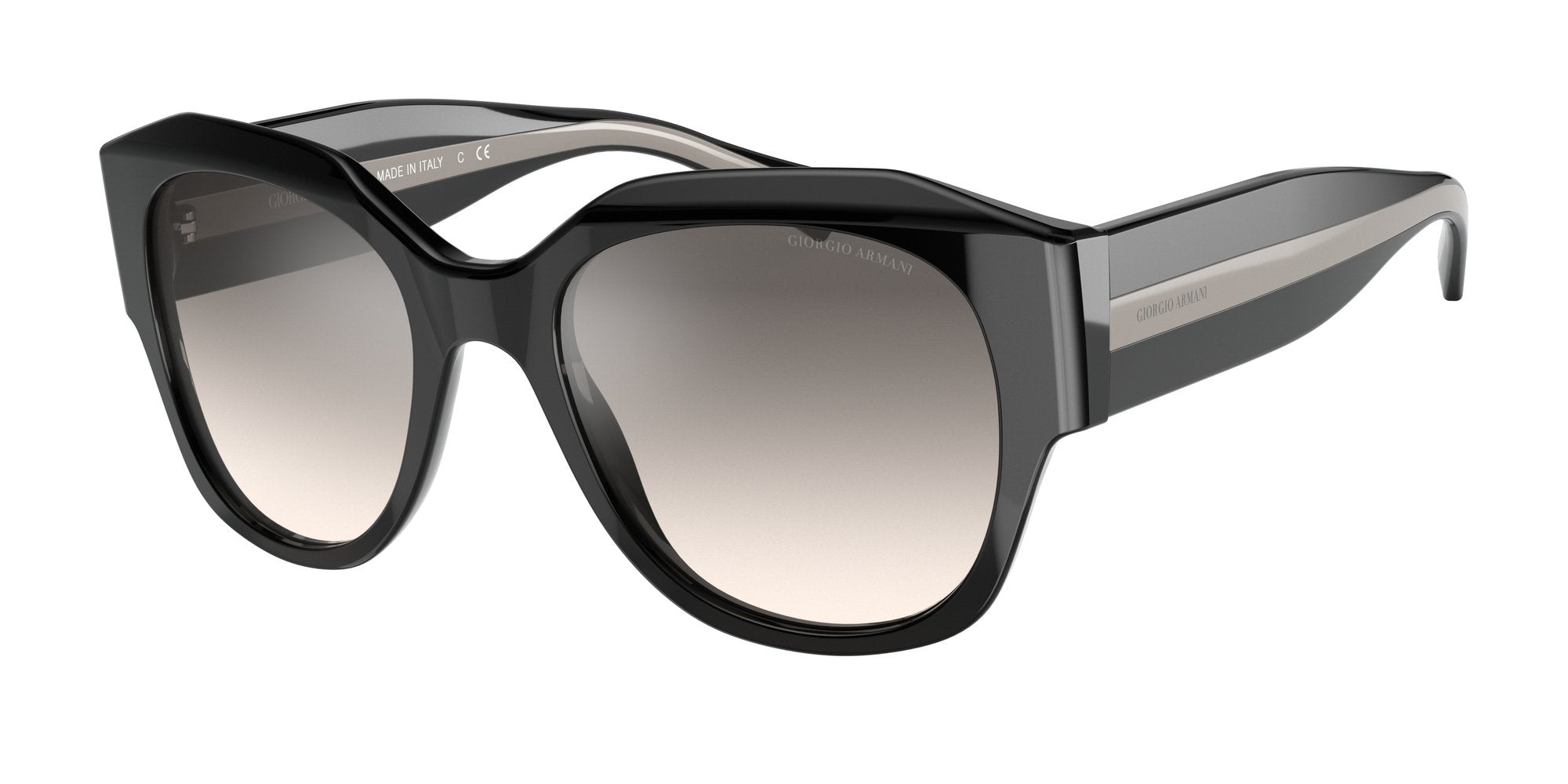 GIORGIO ARMANI AR8140 50016I