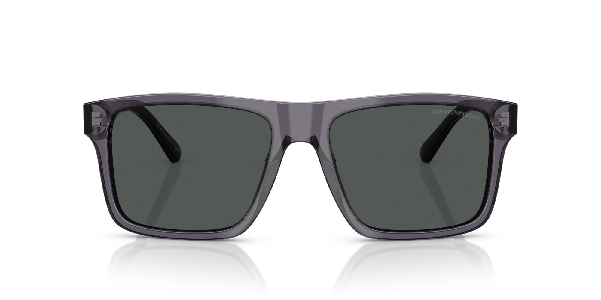 EMPORIO ARMANI EA4232 610687