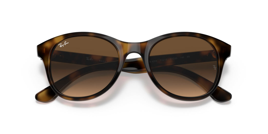 RAY-BAN RB4203 710_13