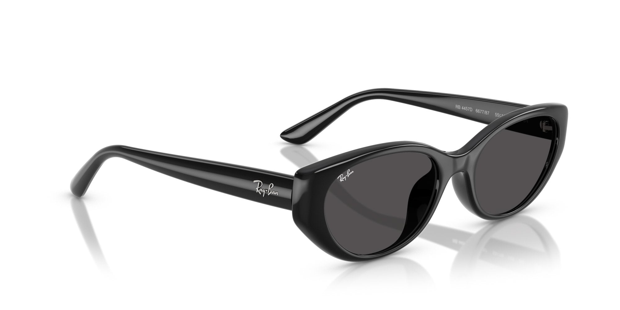 RAY-BAN RB4457D 667787