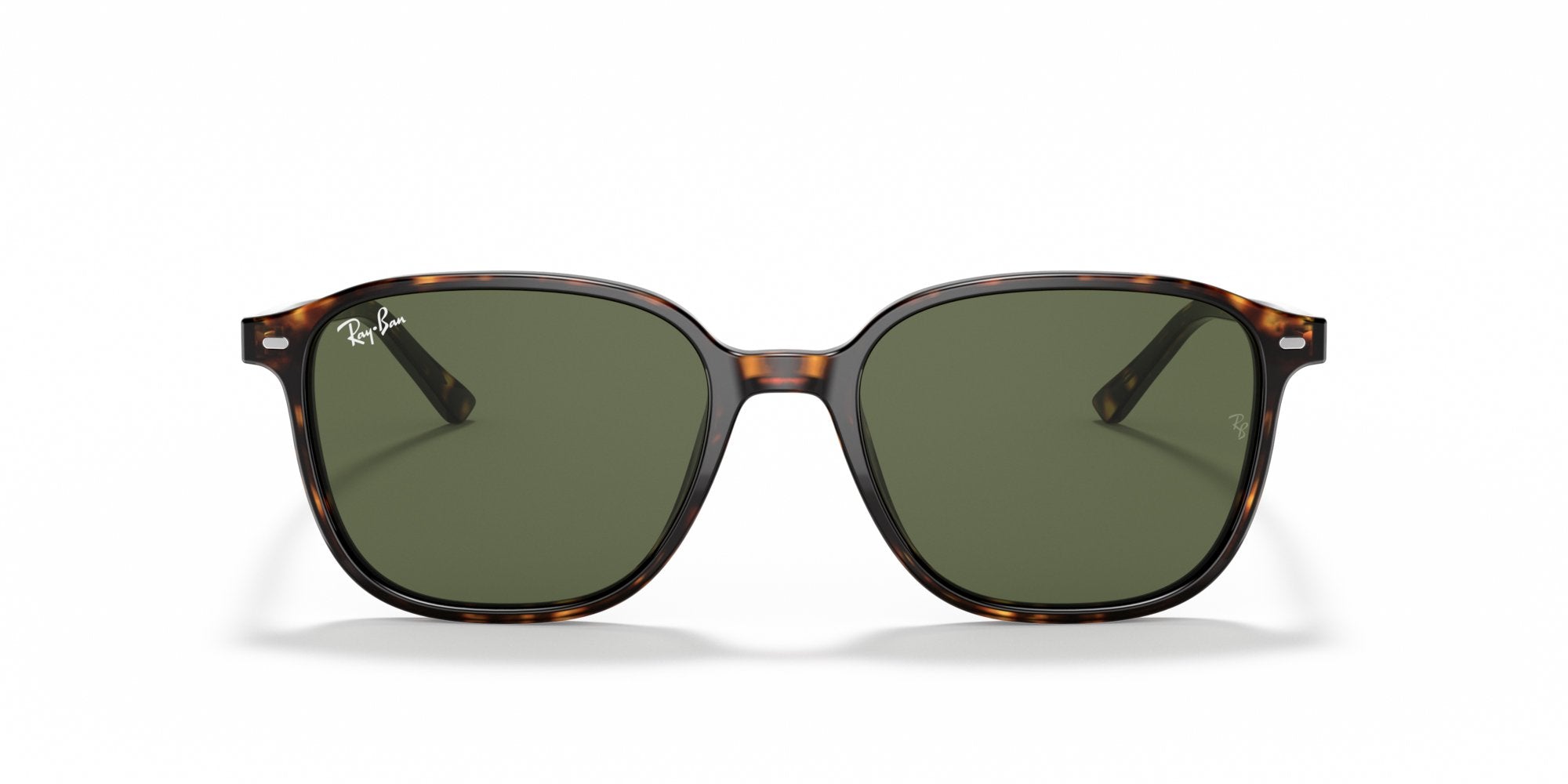RAY-BAN LEONARD RB2193 902/31