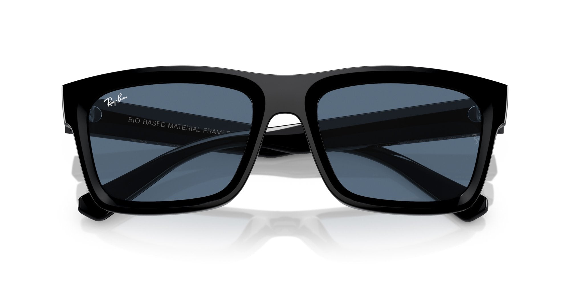 RAY-BAN WARREN RB4396 667780