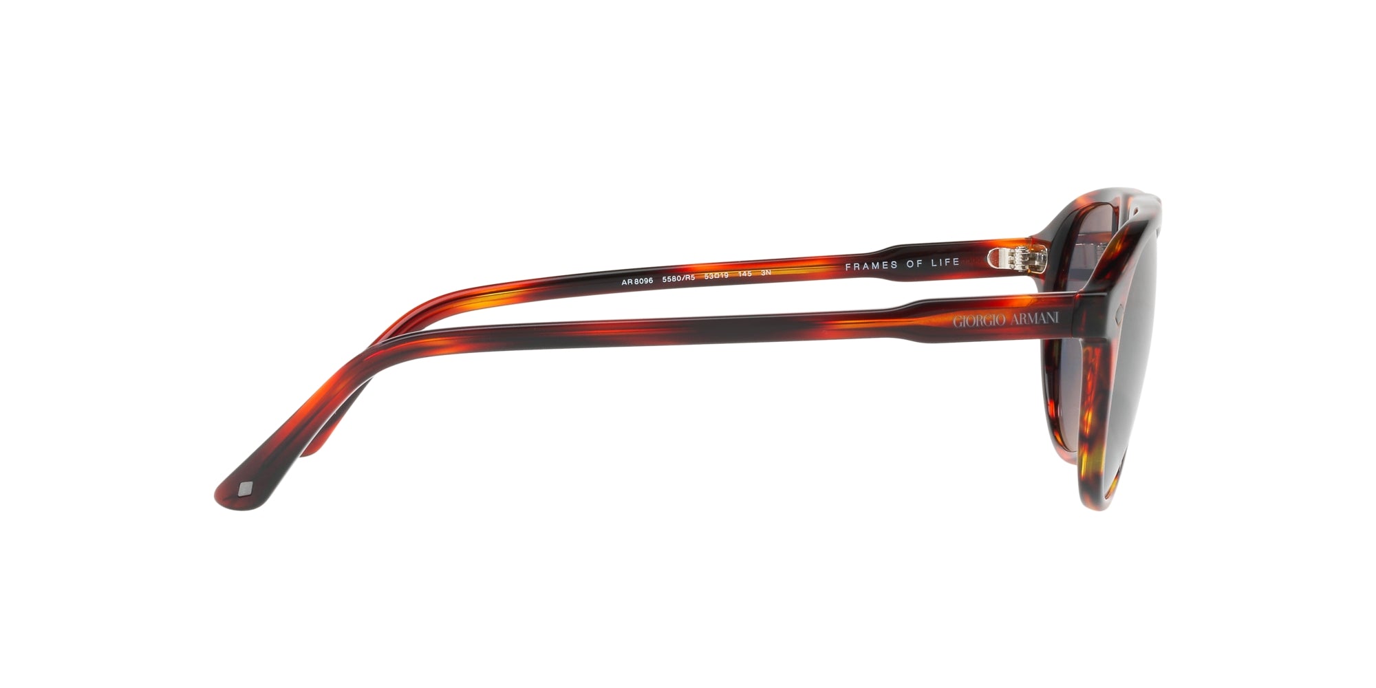 GIORGIO ARMANI 8096 5580R5