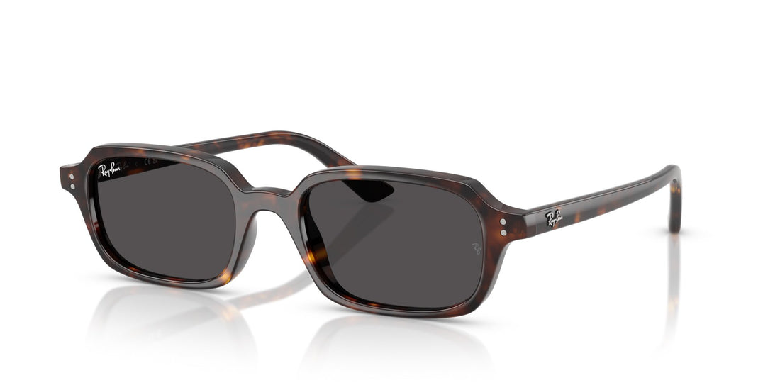 RAY-BAN ZURI RB4455 135987